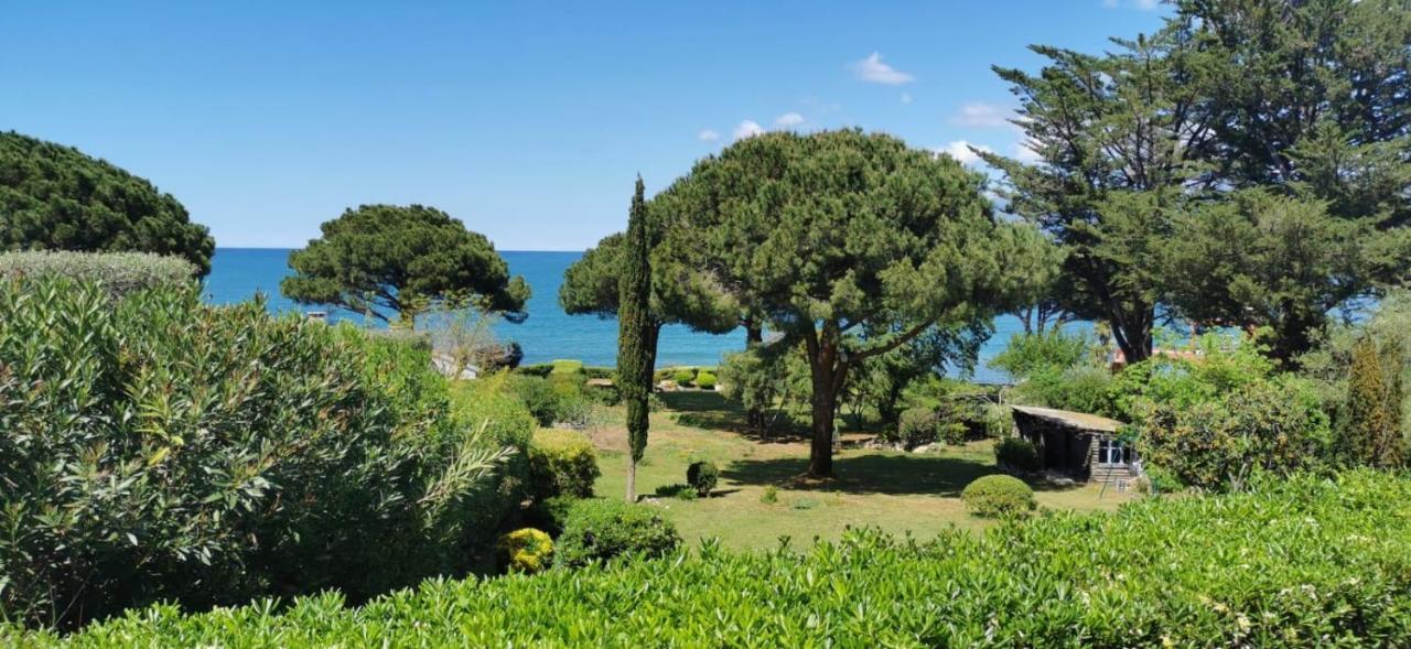 Villa I Merli Saint-Florent  Dış mekan fotoğraf